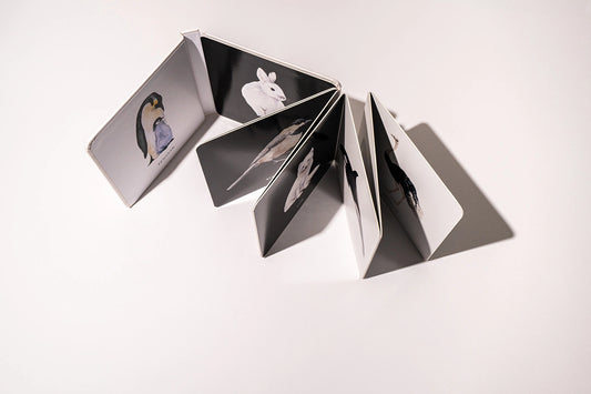 book - baby's black & white contrast by paige tate & co.