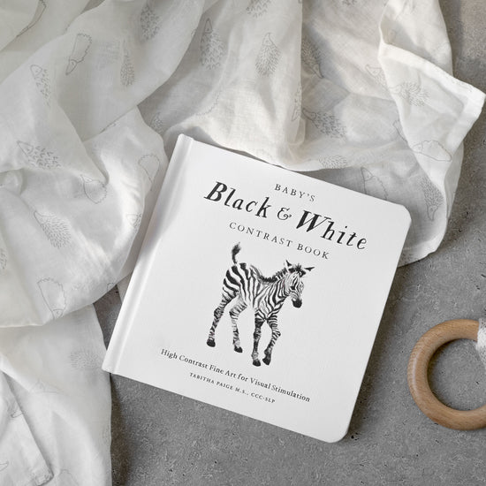 book - baby's black & white contrast by paige tate & co.