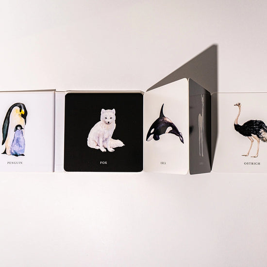book - baby's black & white contrast by paige tate & co.