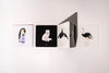 book - baby's black & white contrast by paige tate & co.
