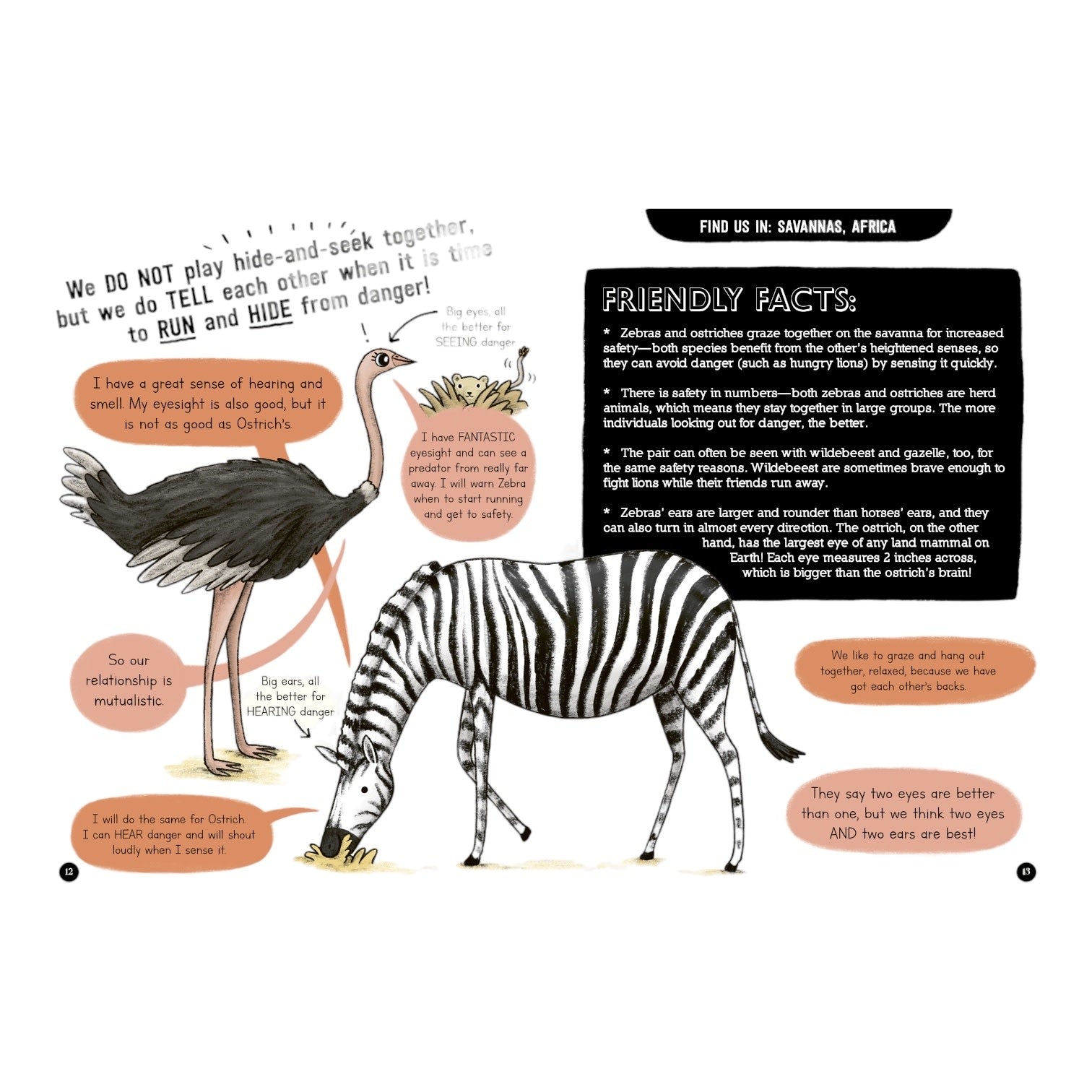 book - animal bffs by quarto usa