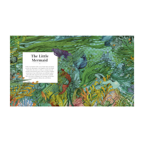 book - fairy tale land by quarto usa