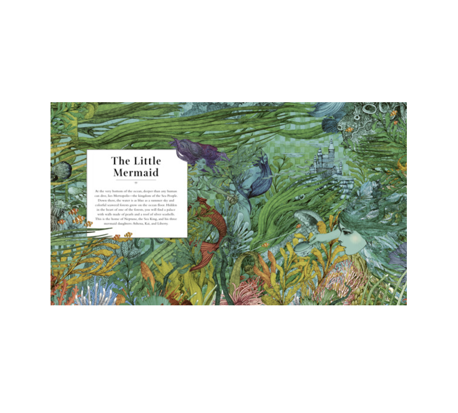 book - fairy tale land by quarto usa