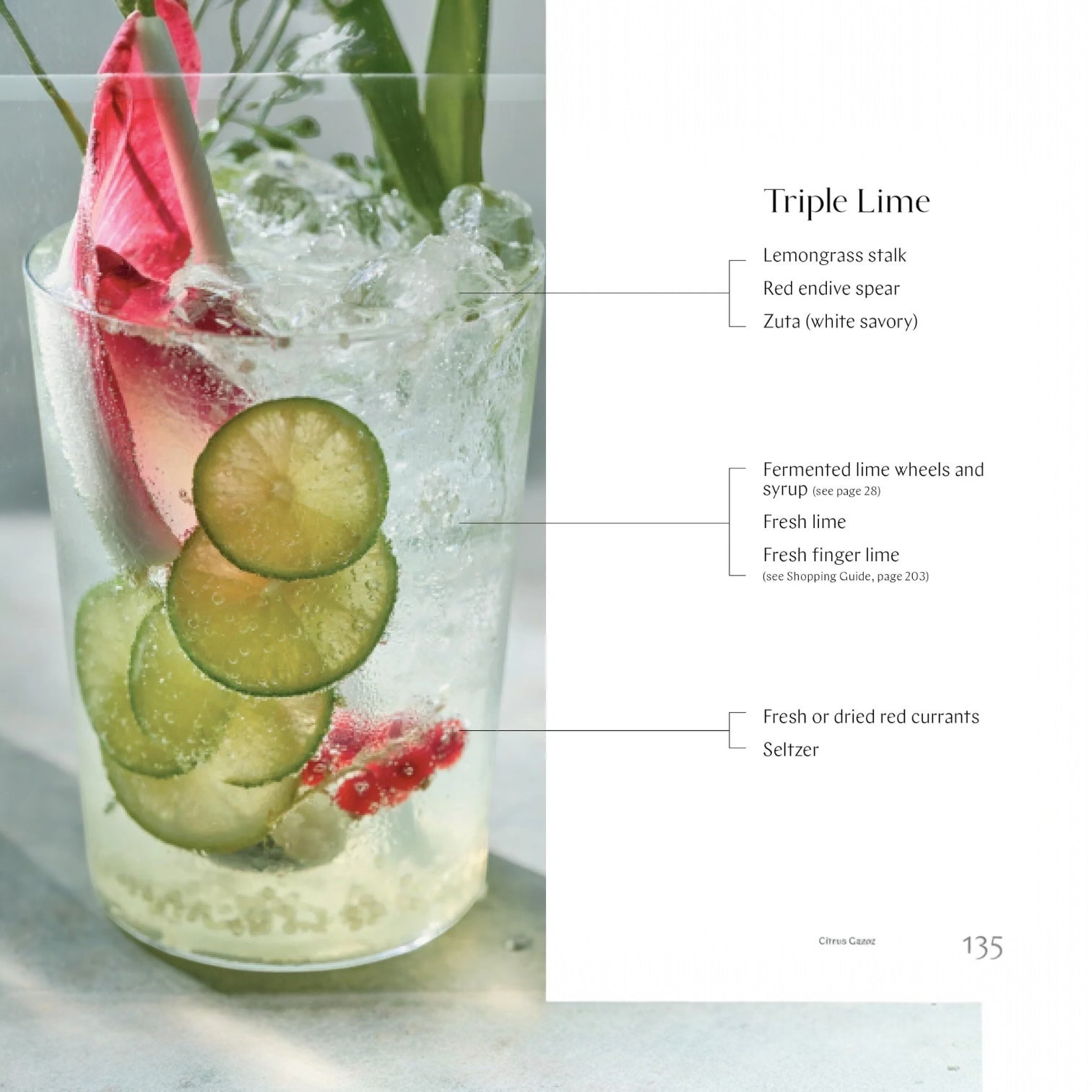 book - gazoz: the art of making magical, seasonal sparkling drinks by hachette book group usa