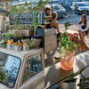 book - gazoz: the art of making magical, seasonal sparkling drinks by hachette book group usa