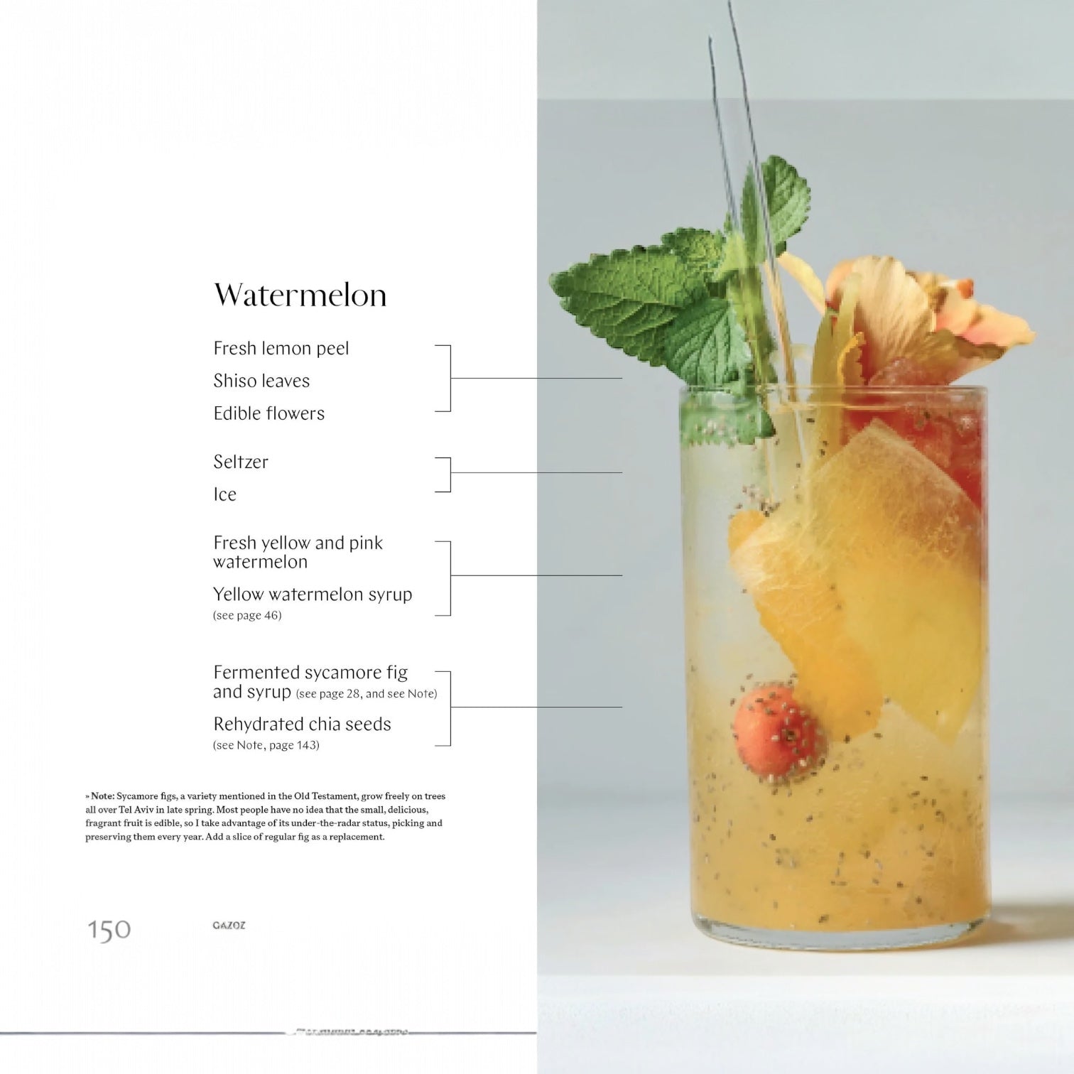book - gazoz: the art of making magical, seasonal sparkling drinks by hachette book group usa