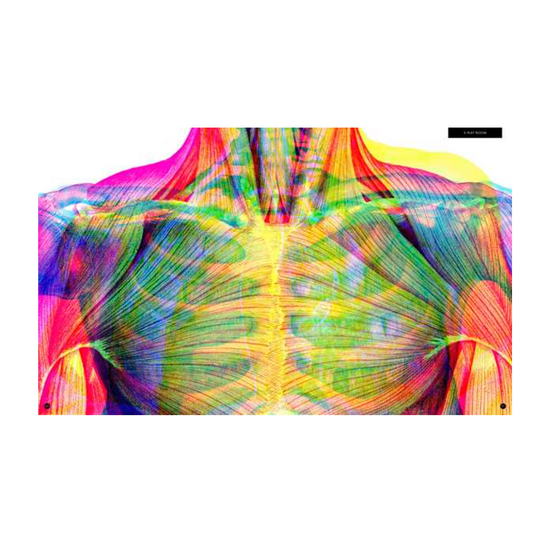 book - illumanatomy (oop) by quarto usa