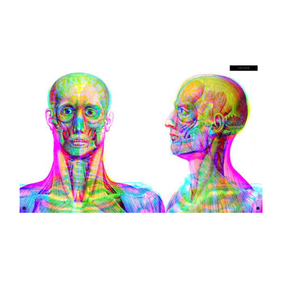 book - illumanatomy (oop) by quarto usa