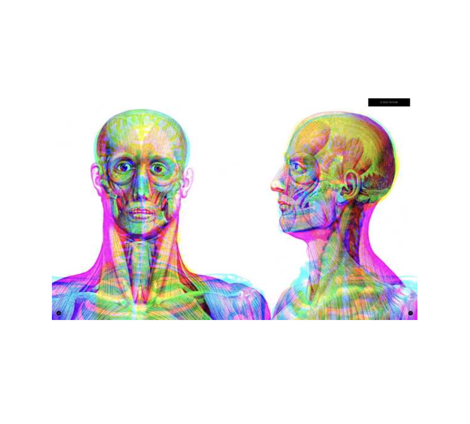 book - illumanatomy (oop) by quarto usa