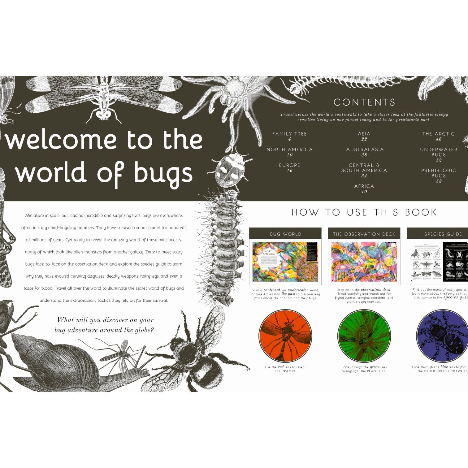 book - illumibugs by quarto usa