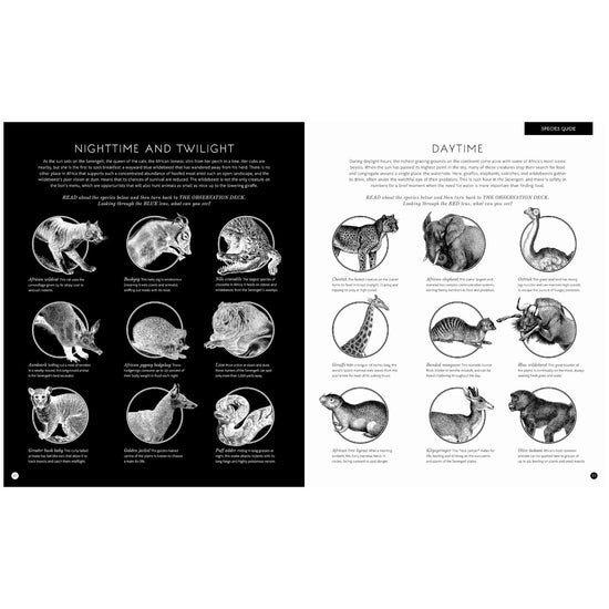 book - illumipedia by quarto usa