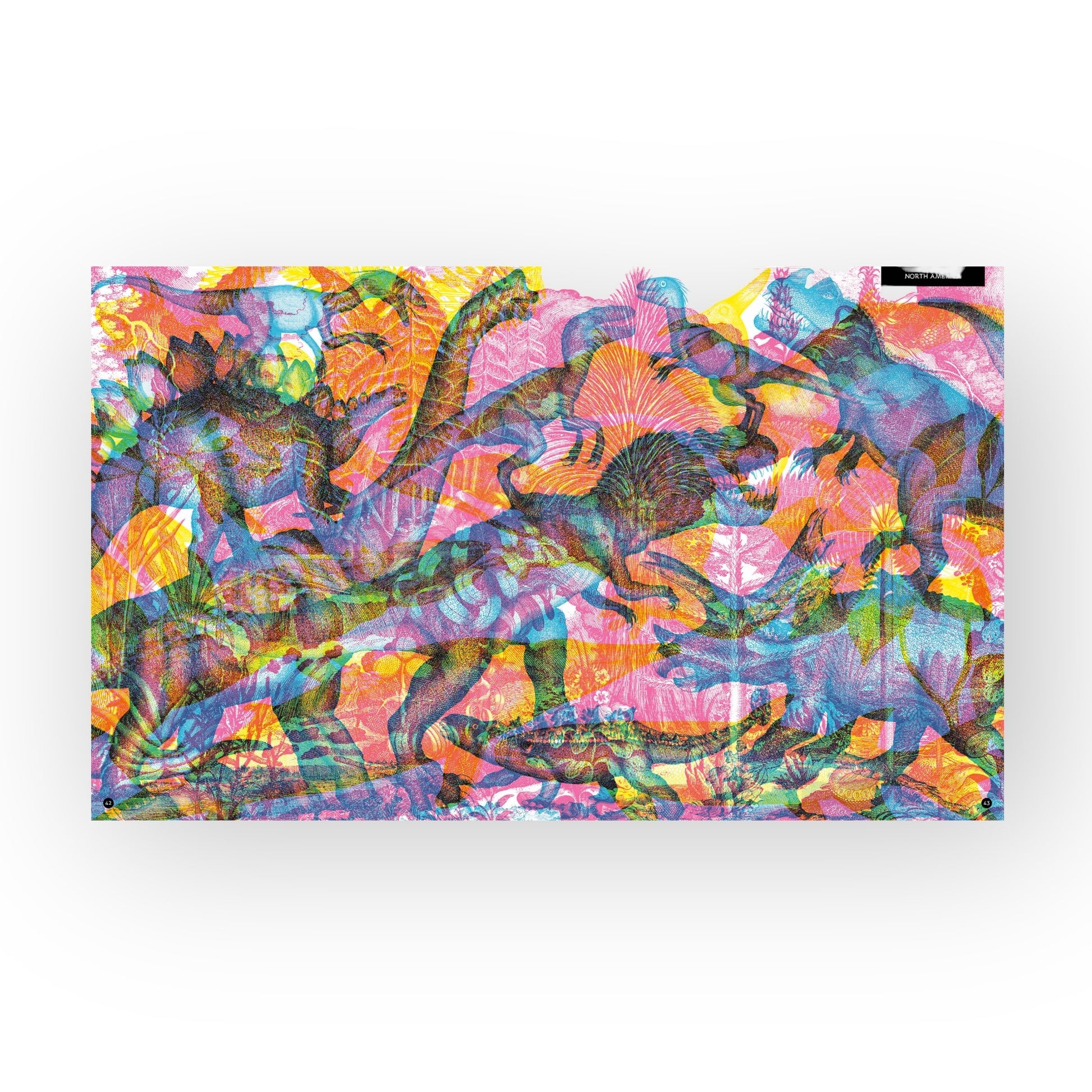 book - illumisaurus by quarto usa