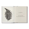 book - mom, more than you know by compendium