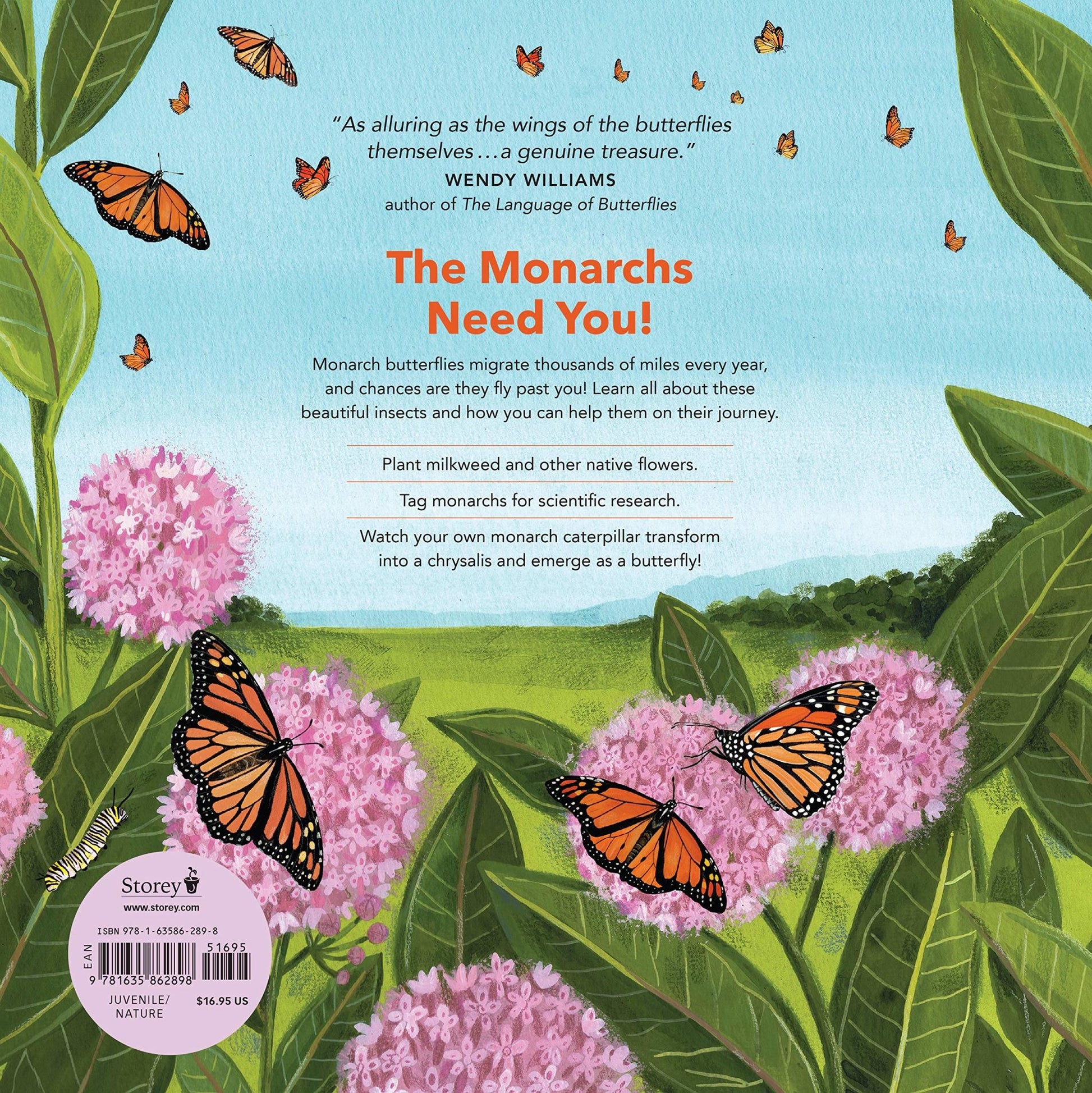 book - monarch butterflies by hachette book group usa