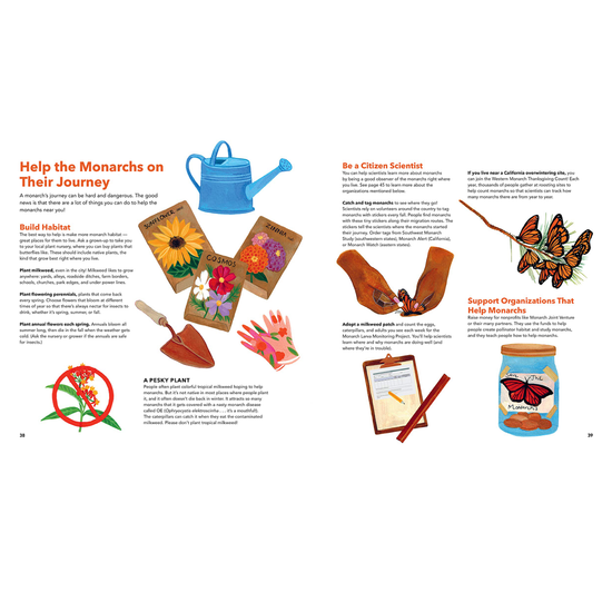 book - monarch butterflies by hachette book group usa