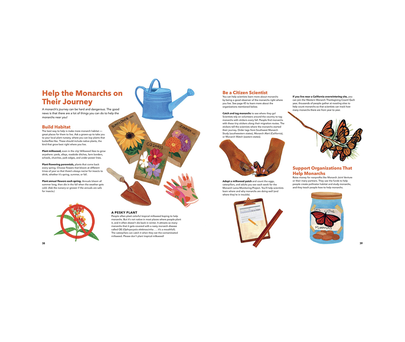 book - monarch butterflies by hachette book group usa