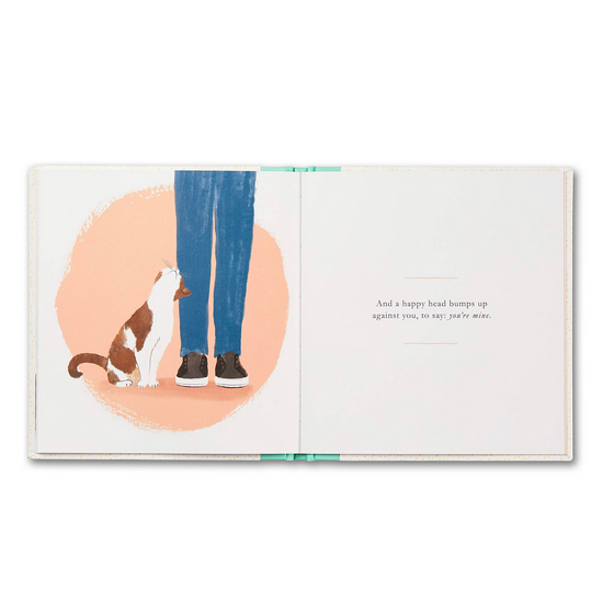 book - when you love a cat by compendium