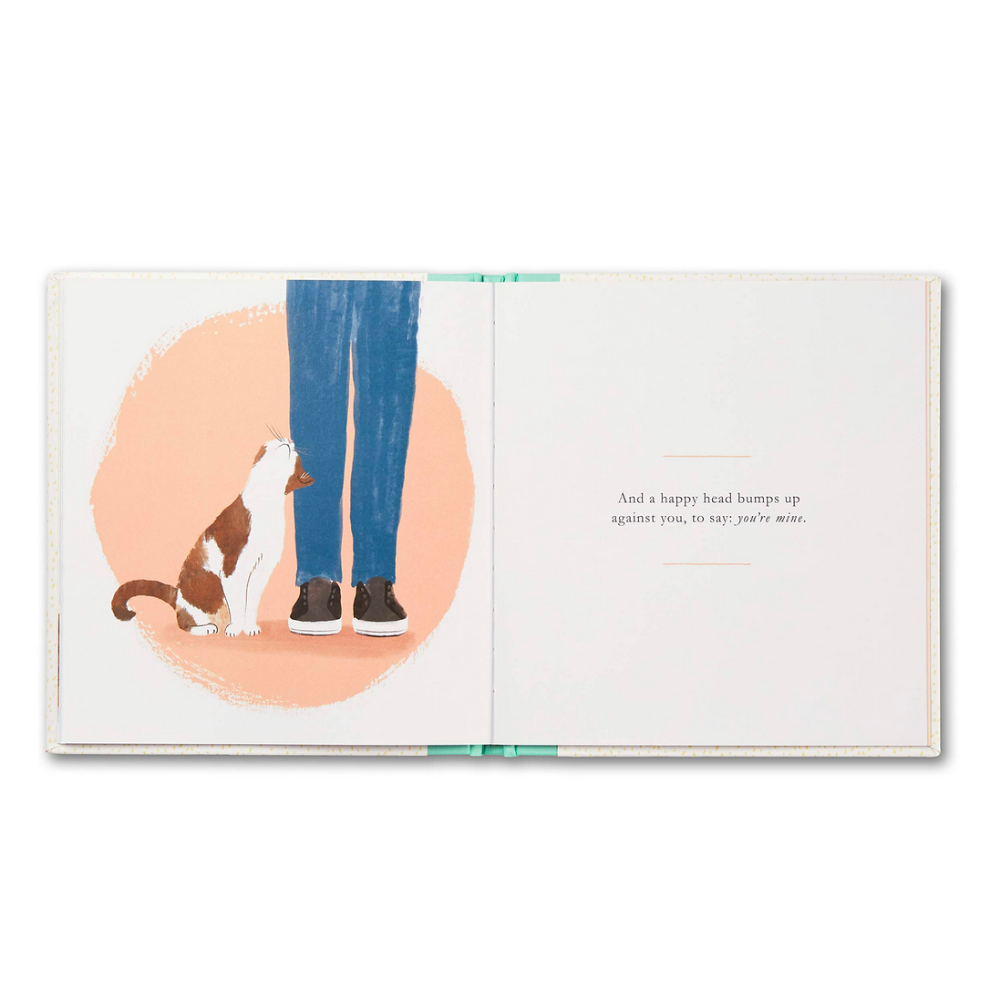 book - when you love a cat by compendium
