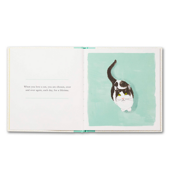 book - when you love a cat by compendium