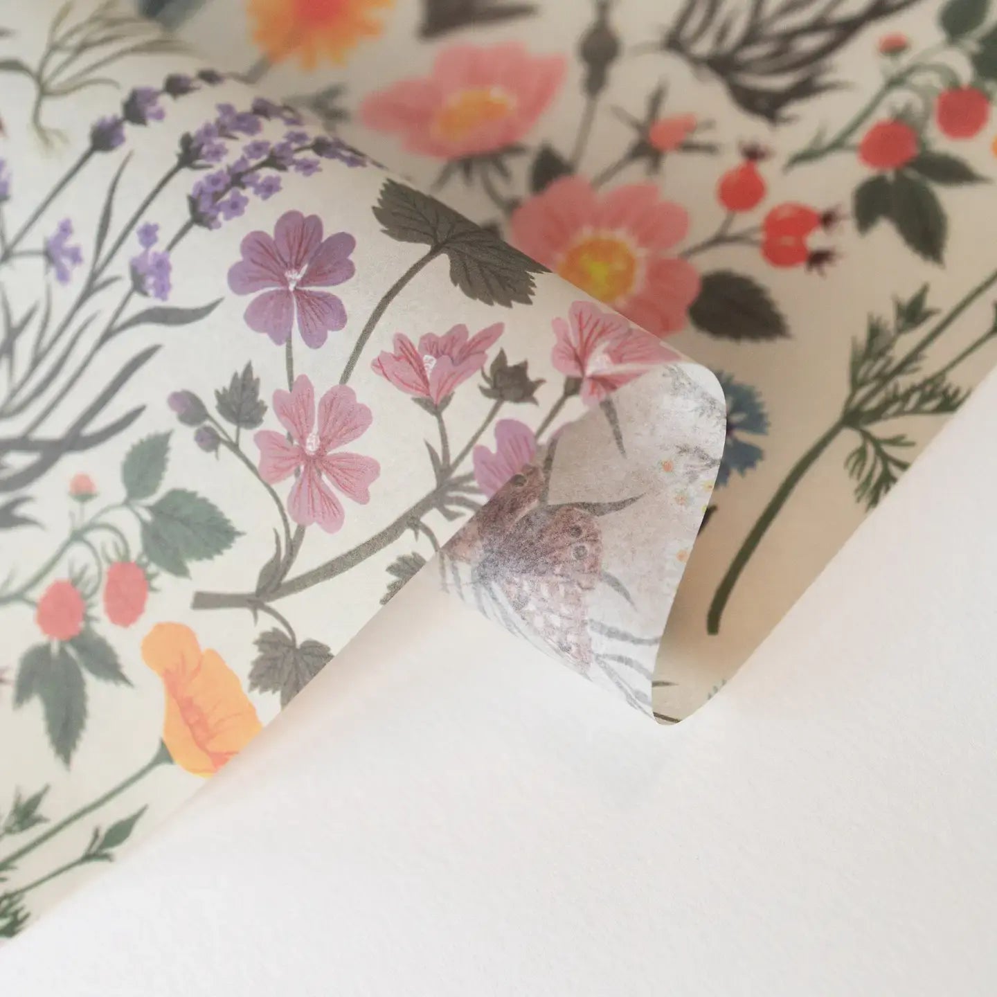 tissue paper - botanist - 10 sheets by botanica paper co.