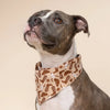 pet bandana - large - bronco by the paws