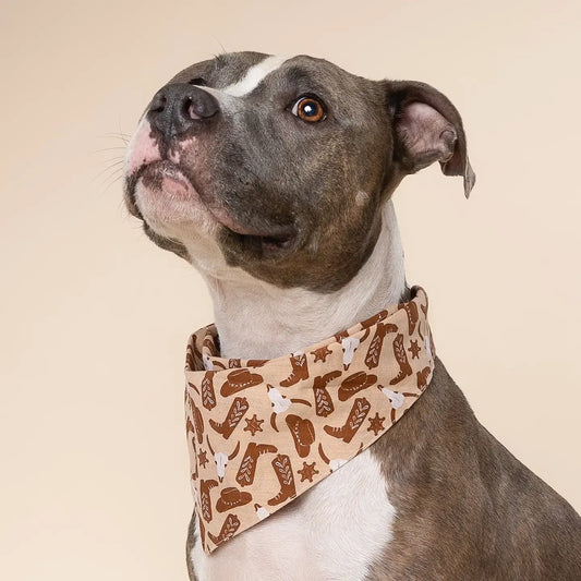 pet bandana - large - bronco by the paws