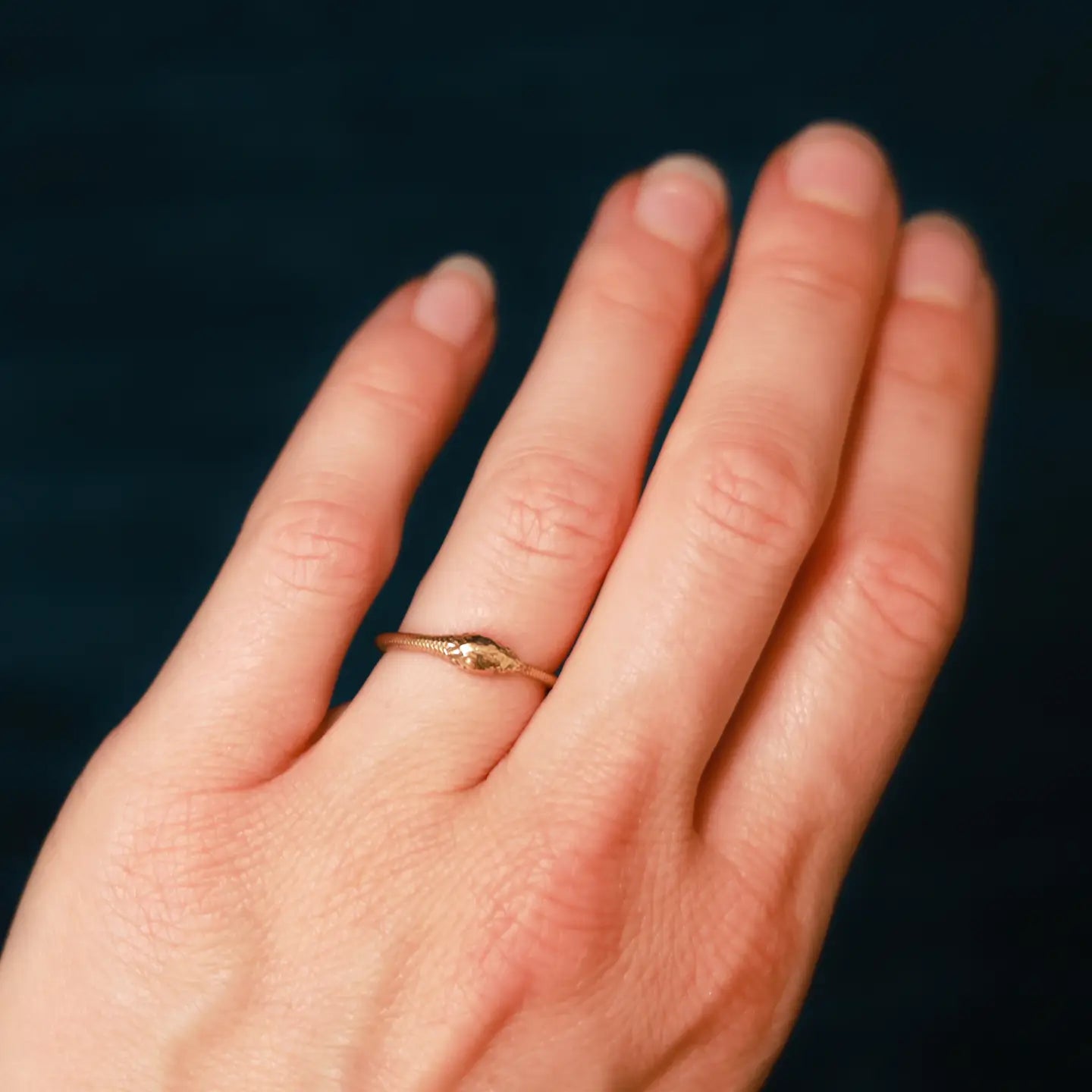 ring - snake ouroboros by nina designs