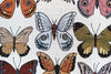 blanket - recycled cotton/acrylic - butterfly & moth tapestry by calhoun & co.