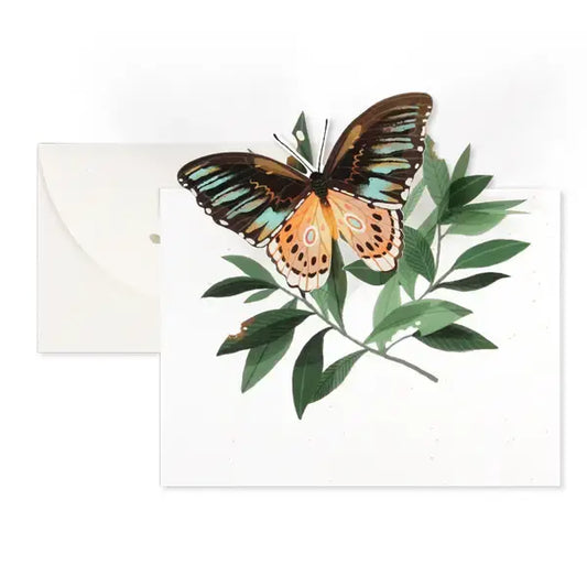 card - 3d pop-up - butterfly by uwp luxe