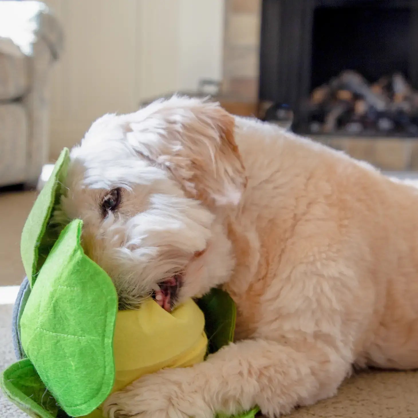 dog toy - snuffle mat - cabbage by injoya