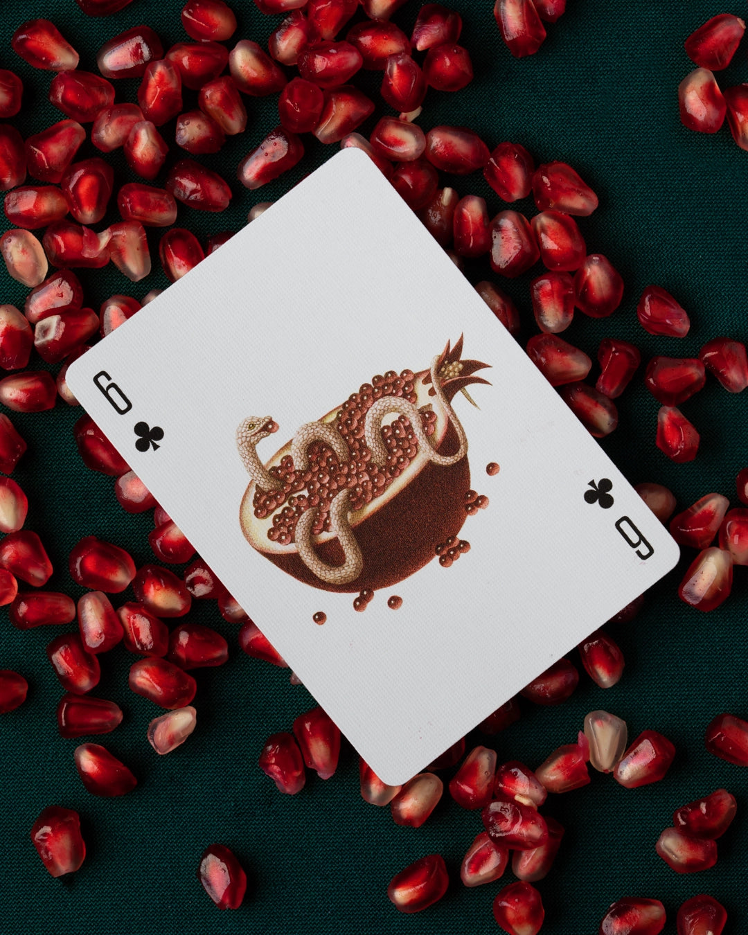 playing cards - cabinetarium by art of play