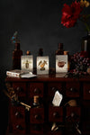 playing cards - cabinetarium by art of play