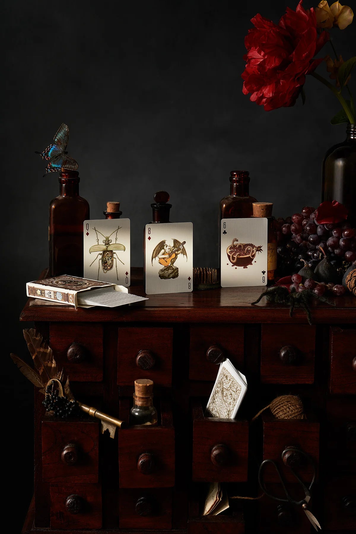 playing cards - cabinetarium by art of play