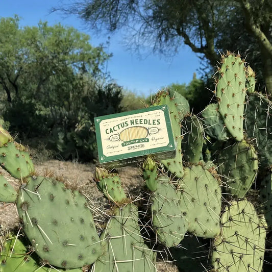 toothpicks - "cactus needle" by seraparito supply co.