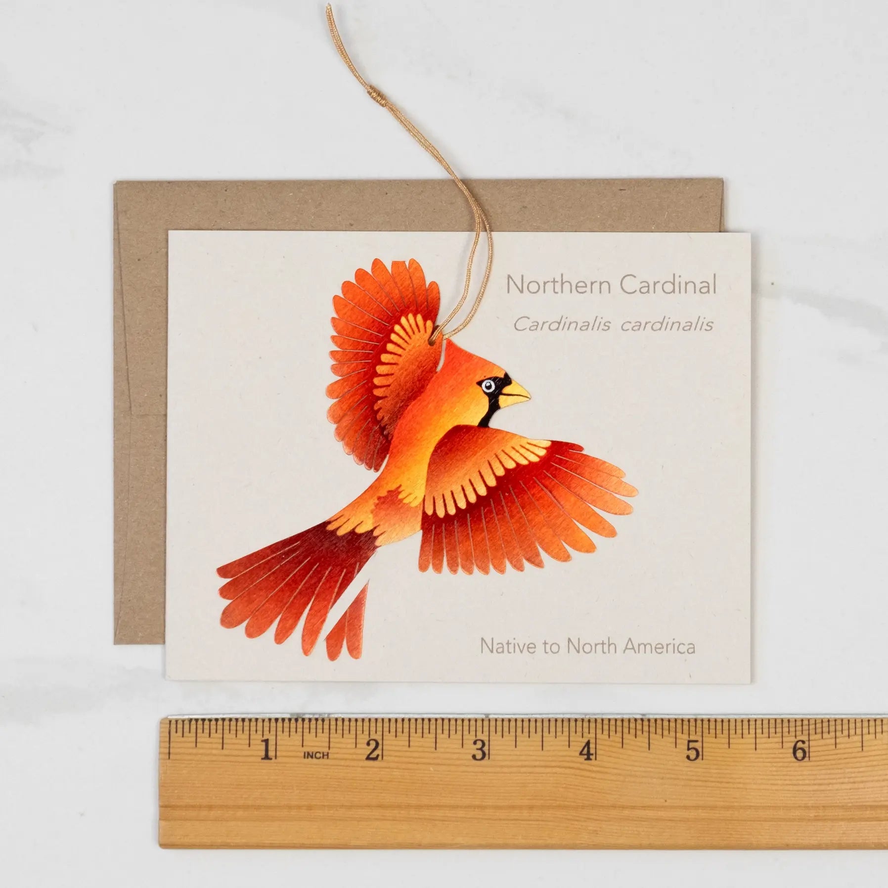 ornament + notecard - bronze - cardinal by tulia's artisan gallery