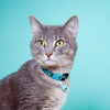 cat collar - breakaway by major darling