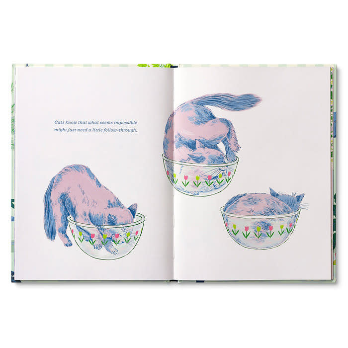 book - cats just know by compendium