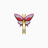 3D Insect Puzzle | Small Butterfly