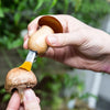tool - mushroom keychain by kikkerland