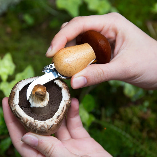 tool - mushroom keychain by kikkerland