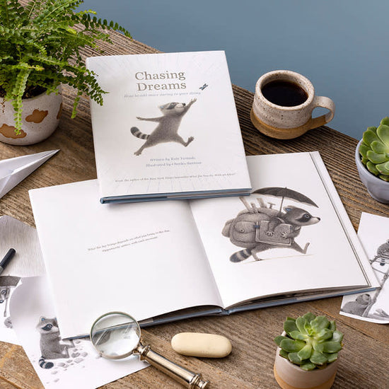 book - chasing dreams (raccoon plush companion) by compendium