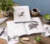 book - chasing dreams (raccoon plush companion) by compendium