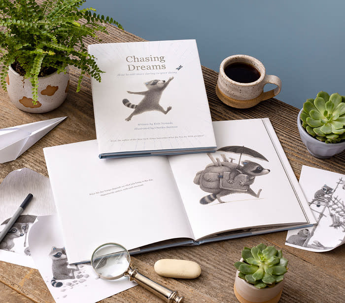 book - chasing dreams (raccoon plush companion) by compendium