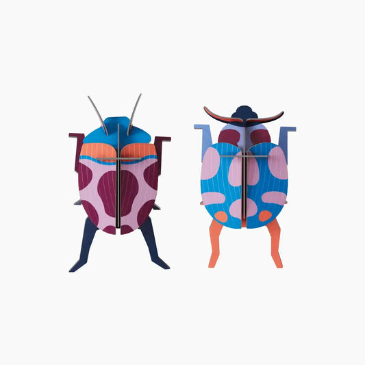3d insect puzzle - small beetle by studio roof