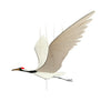 mobile - flying - crane by tulia's artisan gallery