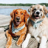 pet bandana - large - crew by the paws