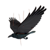 Mobile | Flying | Raven