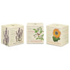 Candle | Votive Trio | Endless Summer