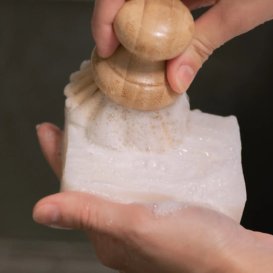 dish washing block - zero waste by no tox life