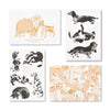 boxed notecards - dog-themed - set of 12 by compendium
